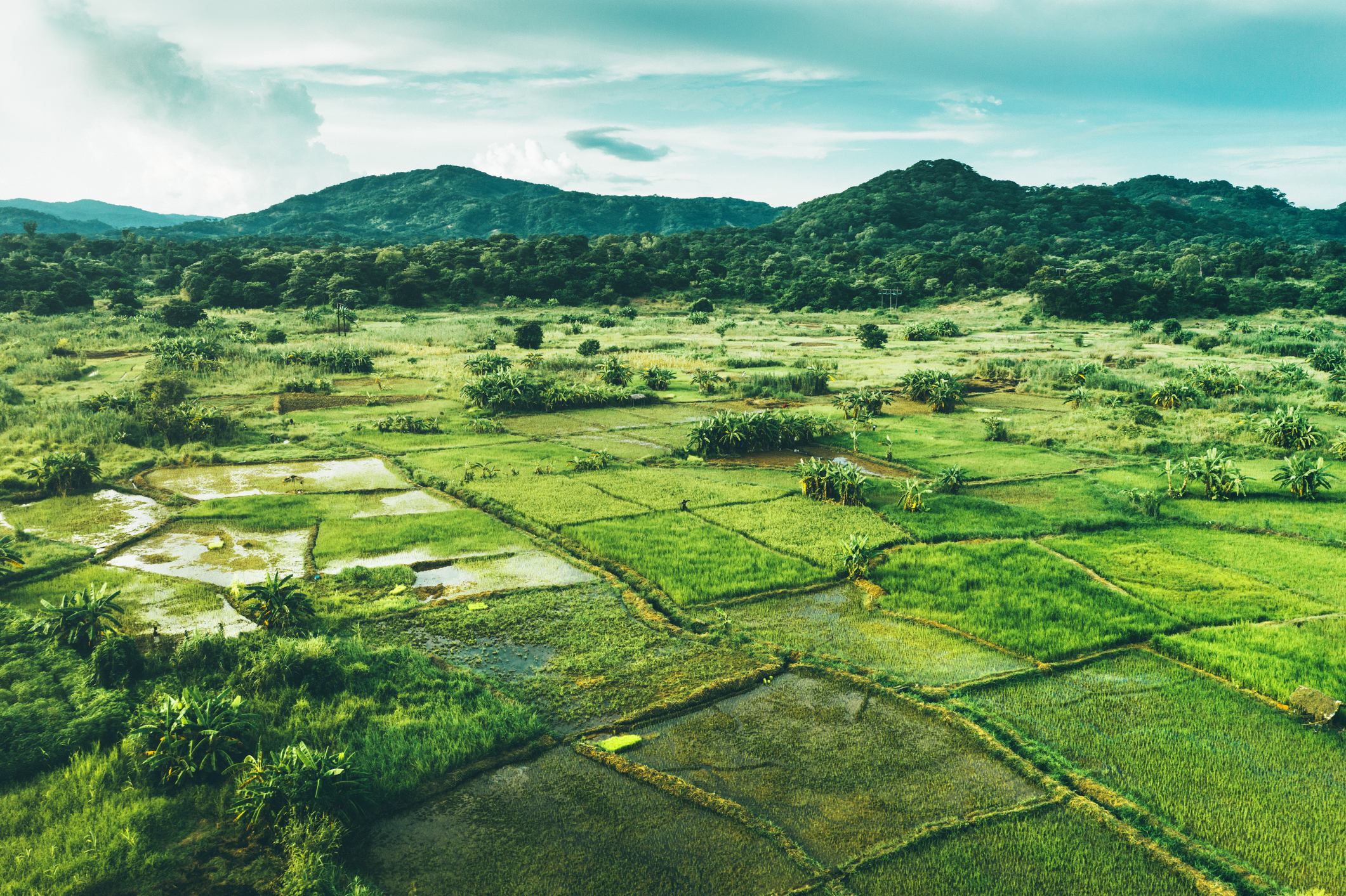 Malawi Secures $8.5 Million Grant to Recover from Cyclone Freddy