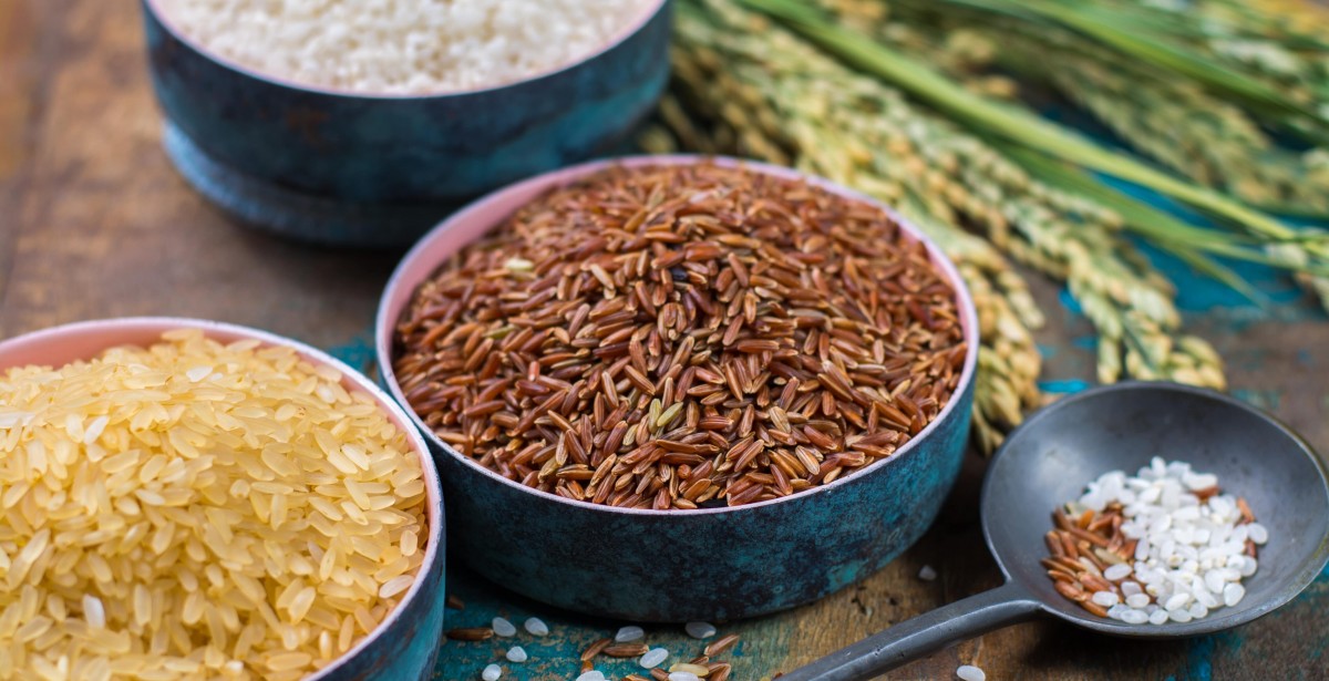 UNE SÉLECTION DES MEILLEURS GRAINS