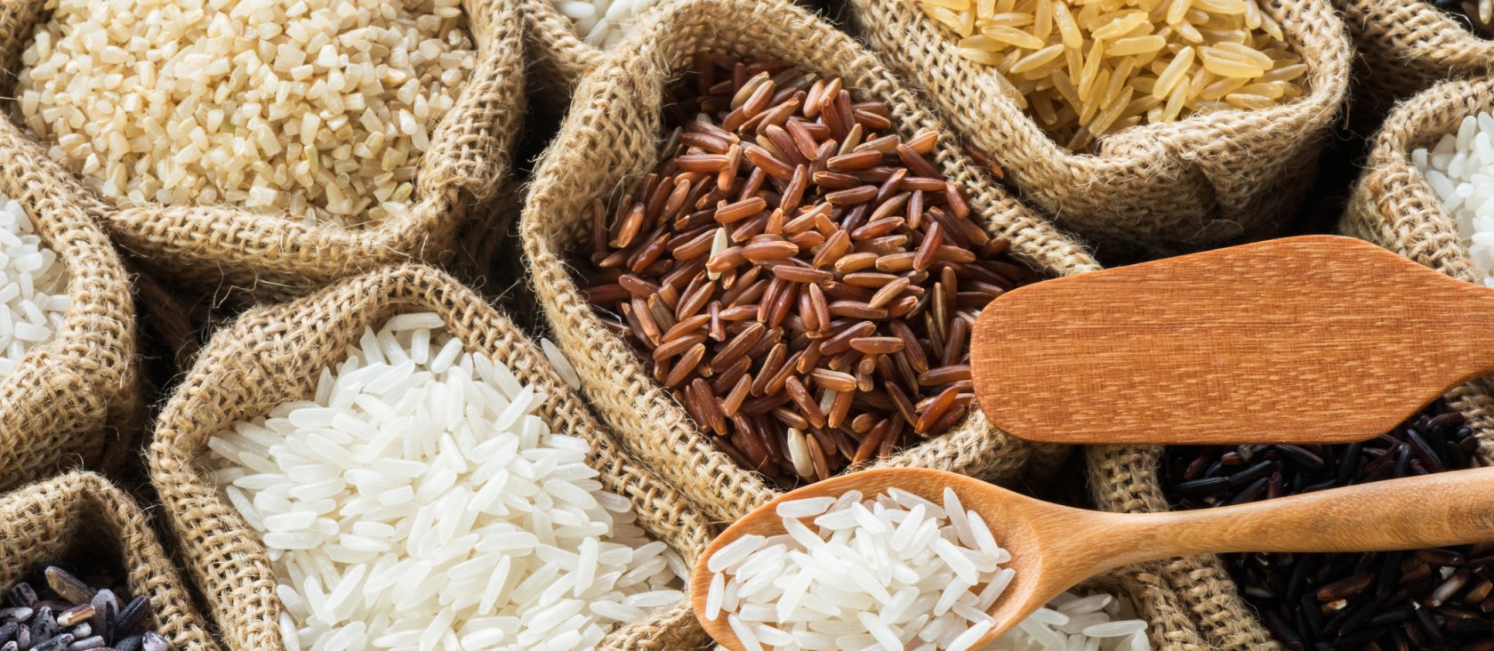 Taureau Ailé Expert en riz pour les meilleurs riz du monde